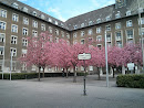 Rathaus Tiergarten