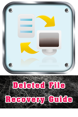 Deleted File Recovery Guide