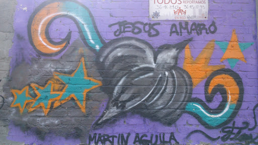 Martin Aguila