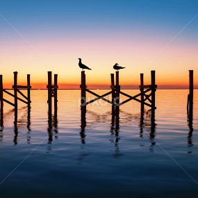 New Orleans by Siyu Liu - Landscapes Sunsets & Sunrises