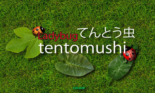 Tentomushi Ladybugs