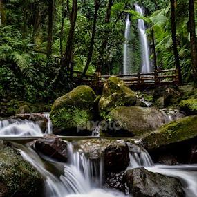 jumog waterfall by Tri Kurniawan - Landscapes Waterscapes