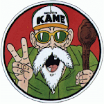 Cover Image of Download Kame rock duel 1.0 APK
