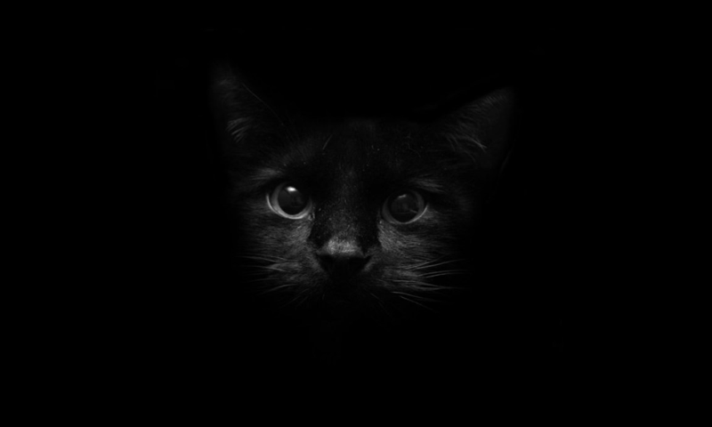 Black wallpapers Screen 1
