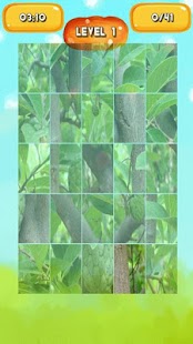 Lastest Custard apple Jigsaw Puzzles APK