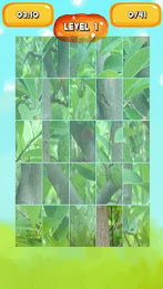 Custard apple Jigsaw Puzzles poster 3