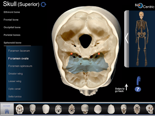 Android application OpenLab.bones screenshort