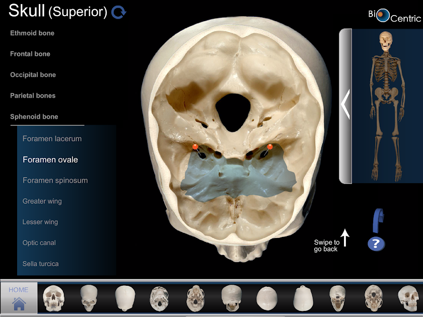 OpenLab.bones Screen 1