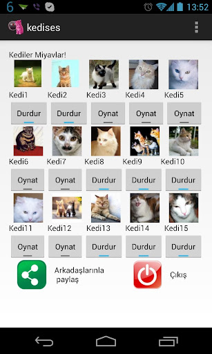 Şirin Kedi Sesleri