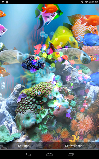 免費下載個人化APP|aniPet Aquarium Live Wallpaper app開箱文|APP開箱王