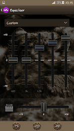 Leopard Xperien Theme poster 6