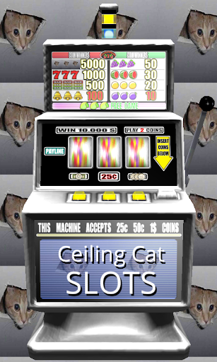 3D Ceiling Cat Slots - Free