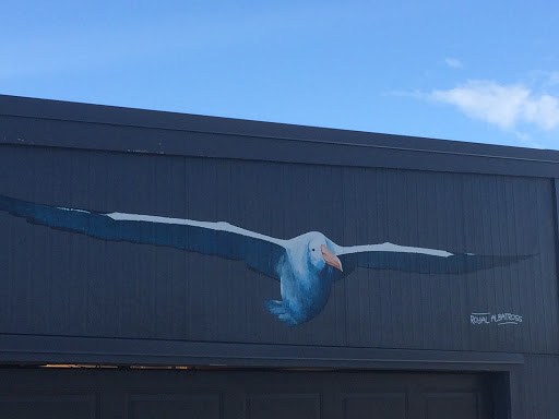 Albatross Artwork