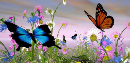 3D Butterfly Live Wallpaper HD -  apk apps