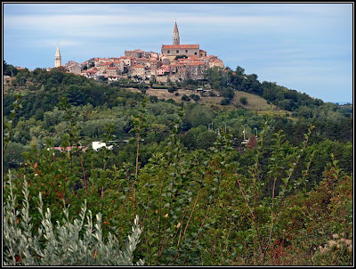 Buje