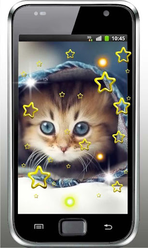 Cute Kittens HD live wallpaper
