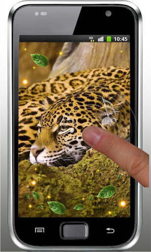 【免費個人化App】Leopard  Voices live wallpaper-APP點子