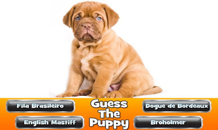 Guess The Puppy 2 Trivia Game poster 3