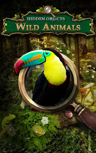 Hidden Objects - Wild Animals