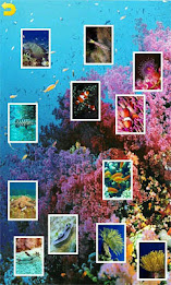 Ocean Puzzle poster 1