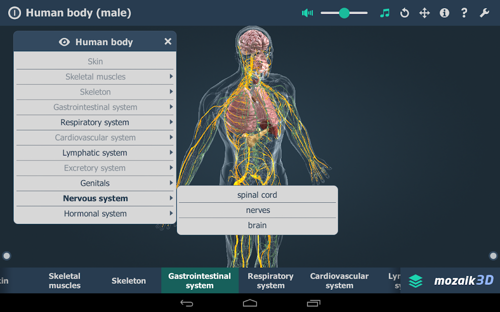 Human body (male) educational VR 3D Apps op Google Play