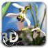 Nature Liveâ Spring Flowers XL1.2 (Patched)