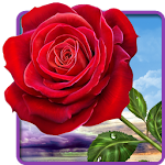 Cover Image of Download Rose. Magic Touch Flowers 2.2.6 APK