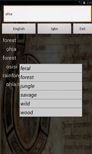 English Igbo Dictionary