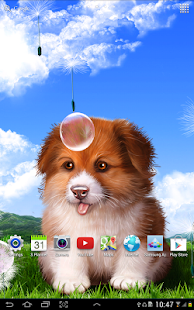 Puppy Wallpaper(圖5)-速報App