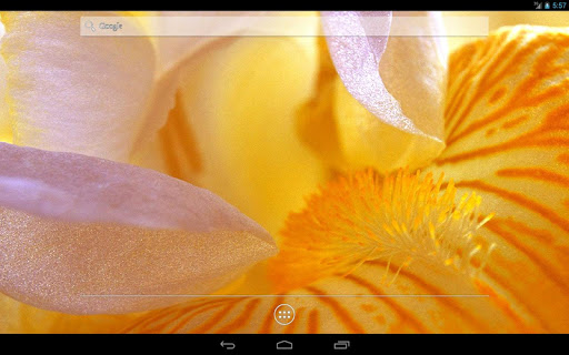 免費下載個人化APP|Irises HD Live wallpaper app開箱文|APP開箱王