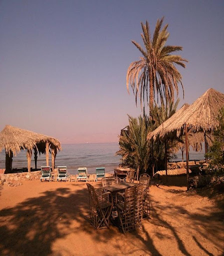 【免費旅遊App】Sinai Camps-APP點子