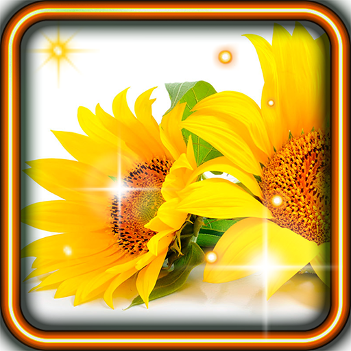 Sunflower Amazing HQ LWP 個人化 App LOGO-APP開箱王