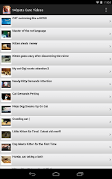 143pets Cute Videos poster 2