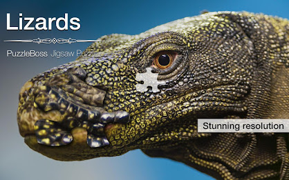 Lizard Jigsaw Puzzles Demo poster 9