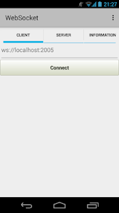 WebSocket Screenshots 5