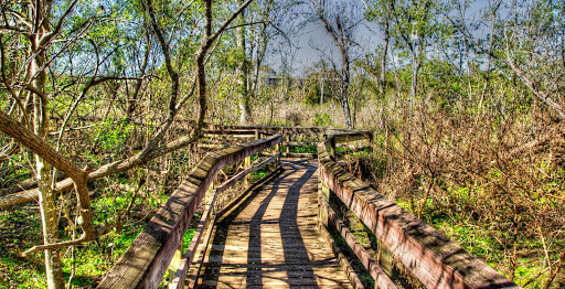 Path at Mead Gardens in Orlando, Florida.
