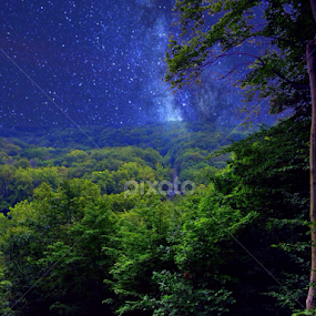 In Dreams by Bridget Wegrzyn - Landscapes Starscapes