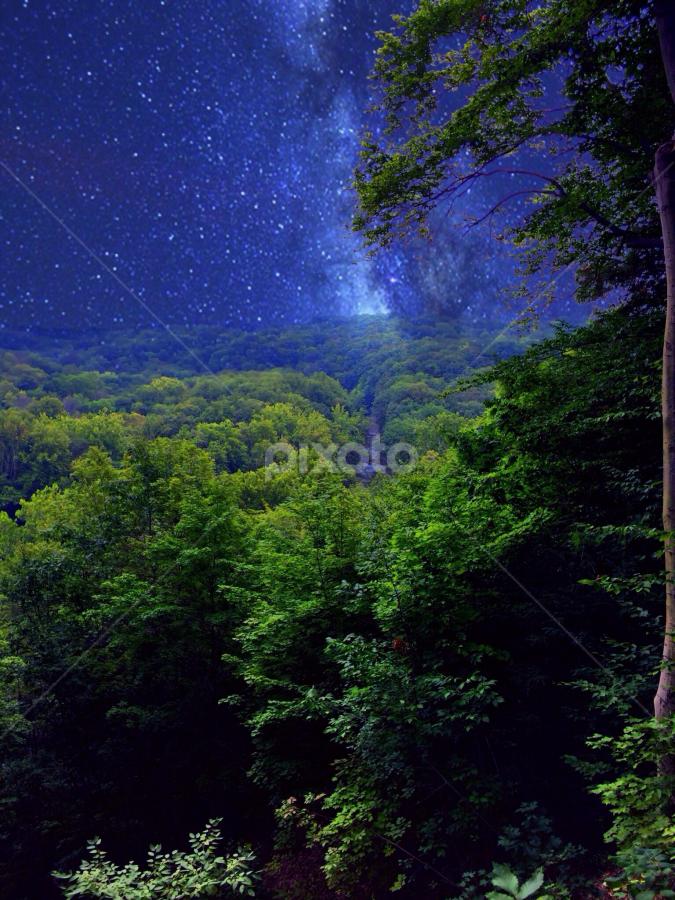 In Dreams by Bridget Wegrzyn - Landscapes Starscapes