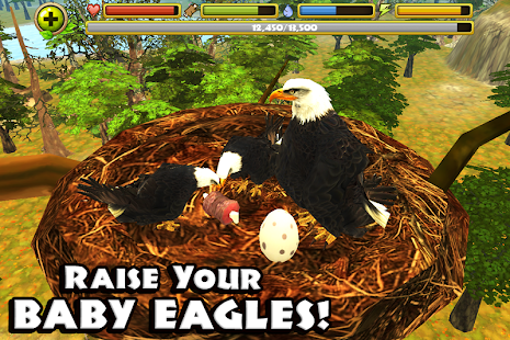 Eagle Simulator™(圖2)-速報App