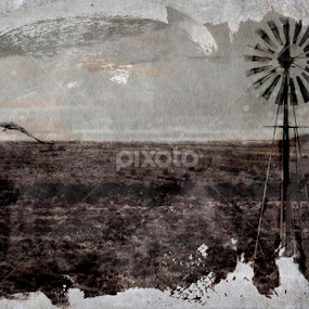 East Cape WIndmills by AZilba Fotografika - Landscapes Prairies, Meadows & Fields