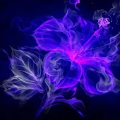 Живая Этика (Агни-Йога)