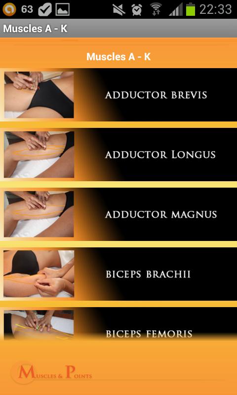 Anatomy Muscle IMS/Dryneedling Screen 3