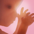 Pregnancy ++4.6.2