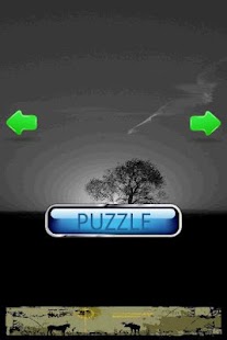 Download Nature Puzzle: Sunset D APK