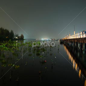sepaku street balikpapan by Yudi Saksono - Landscapes Travel