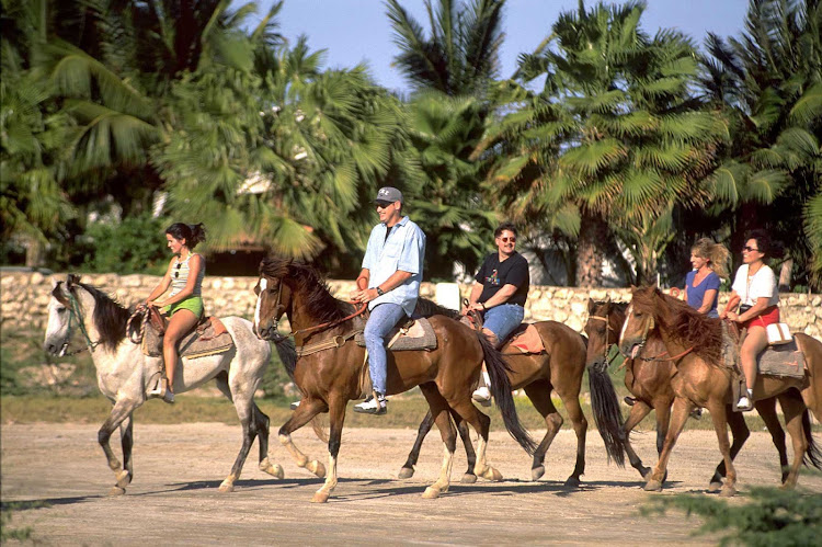 Horseback riding is available at several spots on Aruba.