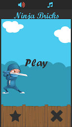Ninja Bricks poster 1