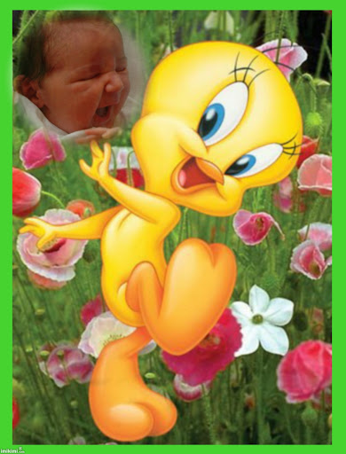 Očarený Tweety.jpg