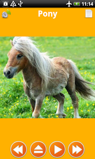 Baby Learn Animals Flash Cards(圖5)-速報App