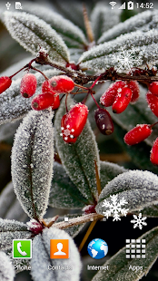 Winter Flowers Live Wallpaper(圖5)-速報App